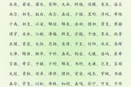 凌晨3点出生的属蛇男孩如何起名，宜用什么字姓名
