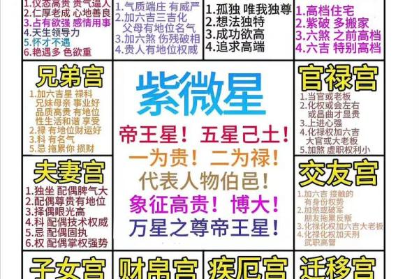 紫薇斗数有个叫天什么