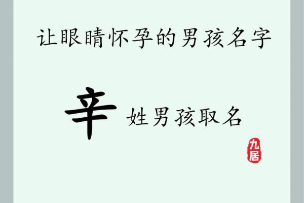 2019年3月20号亥时出生的男孩起名方法姓名