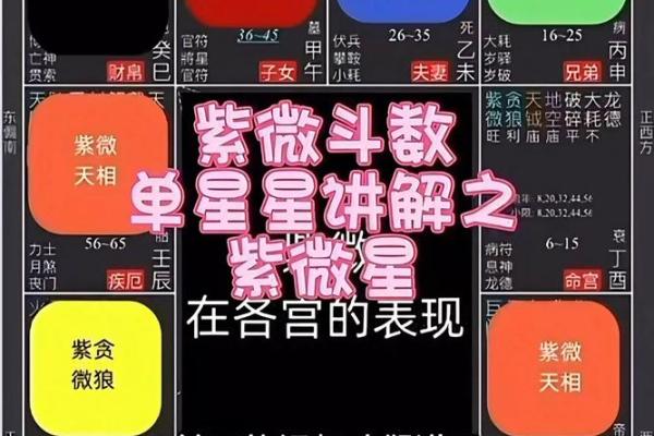 漫谈紫微斗数 紫微斗数介绍？