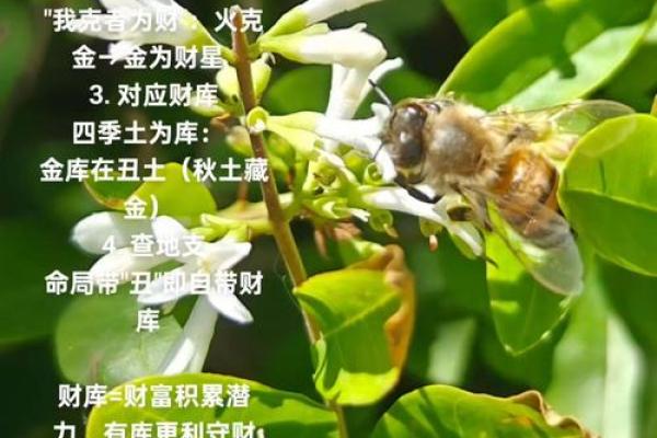 免费八字测财库，教你通过八字看财库