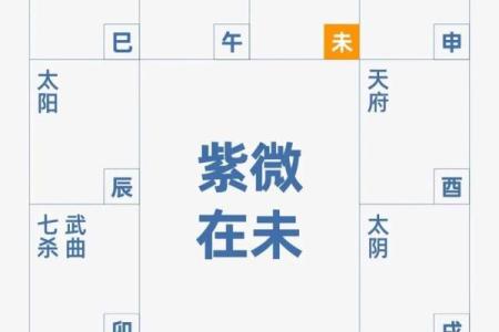 紫薇斗数中什么是拱
