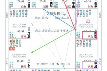 紫薇斗数看以什么方式赚钱
