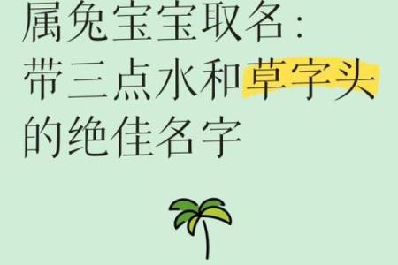 早上8点出生的属兔男孩如何取名姓名