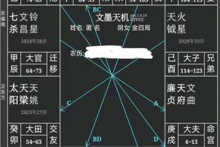 看紫薇斗数的步骤