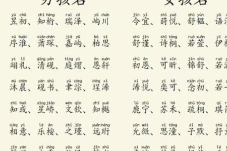 2019年3月25号子时出生的男孩如何起名姓名