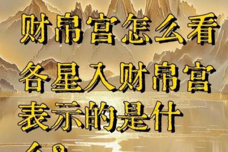紫微斗数之财帛宫与诸星，天相星在财帛宫是什么意思？