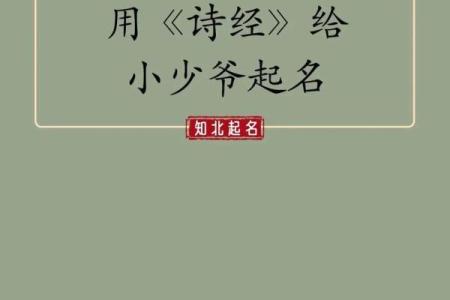 2022年诗经中有气质大气文雅男宝宝名字姓名