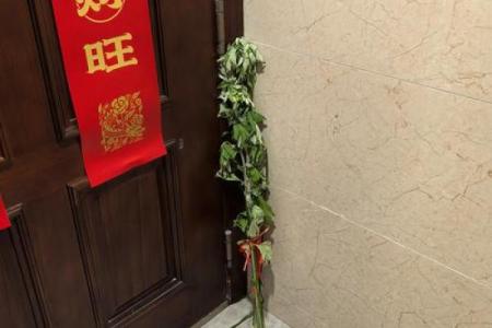 风水解答为什么不应该将艾草作为礼物送给别人