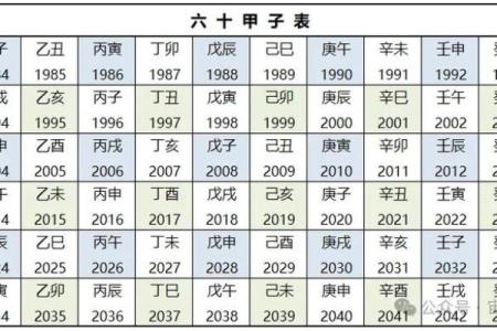 己巳丁丑己丑己巳八字