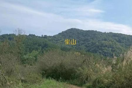 坟墓的风水为什么会遭到破坏