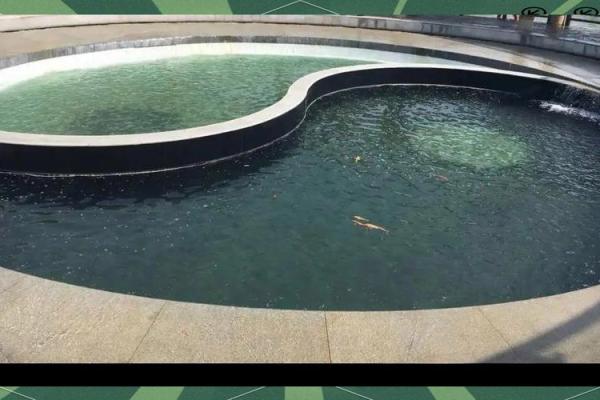 工厂风水规划设计改造案例