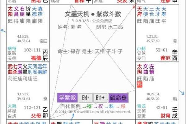紫薇斗数入内局