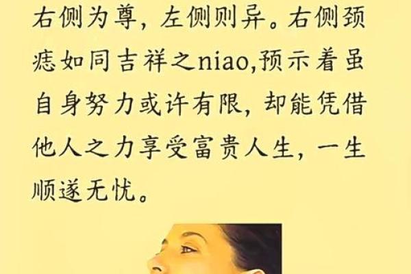 算命命中有几个子女 子女运跟下巴饱满有关