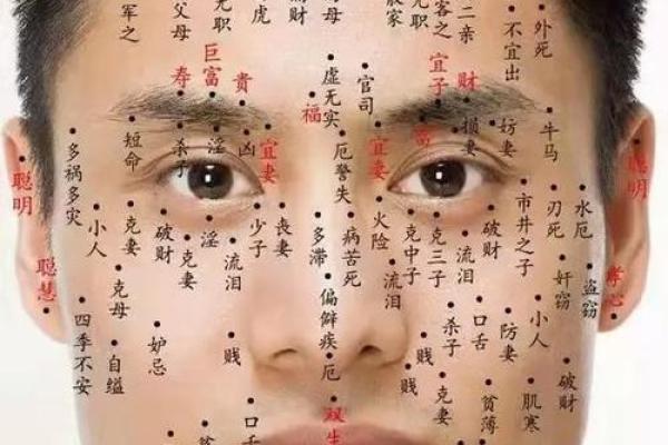 算命命中有几个子女 子女运跟下巴饱满有关