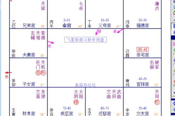 九宫格紫薇斗数盘算命怎么看