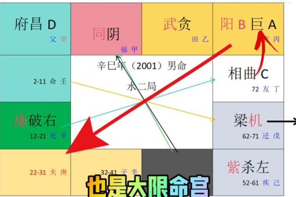 许世英紫薇斗数命盘