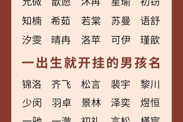2019年6月27号丑时出生的男孩起名方法姓名
