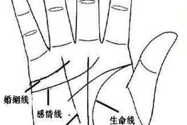 免费扫一扫看手相算命,扫一扫看手相算命