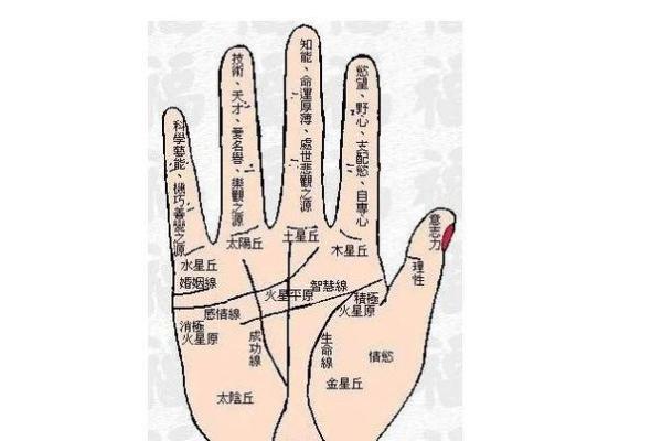 免费扫一扫看手相算命,扫一扫看手相算命