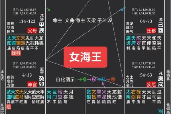 紫薇斗数与看盘