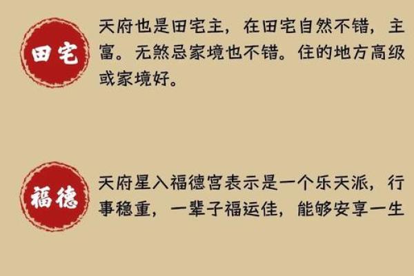 城府深的紫薇斗数