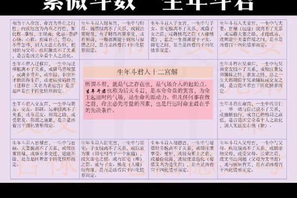 紫微斗数适合当律师 紫微斗数适合当律师的配置？