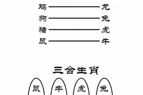 属狗和属牛的八字合吗