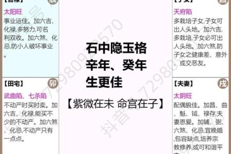 紫薇斗数看网红命格