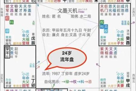 紫薇斗数流年运禄