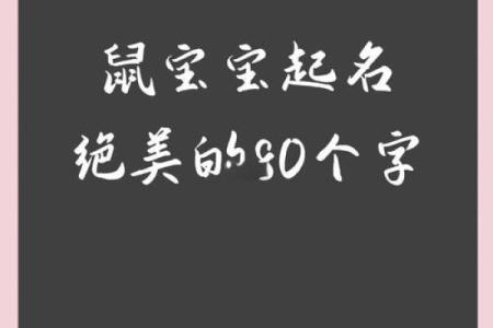 晚上8点出生的属鼠男孩的取名技巧姓名