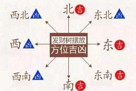 房子各个方位栽树好吗风水