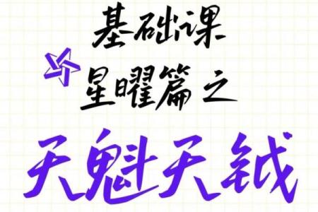 大猫紫薇斗数博客