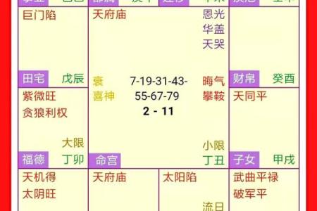 紫微斗数案例42健康：能活到90多岁的命盘