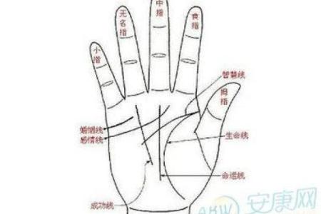 男人九种手相算命图解