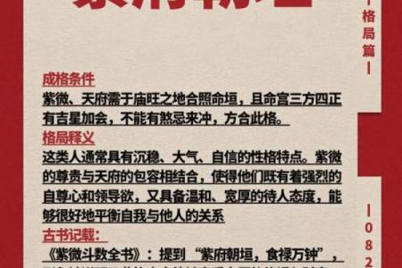 城府深的紫薇斗数