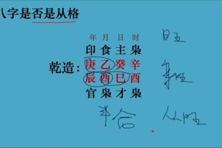八字旺格