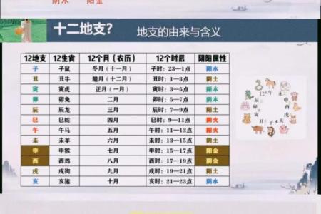 什么叫四柱八字_干支起名