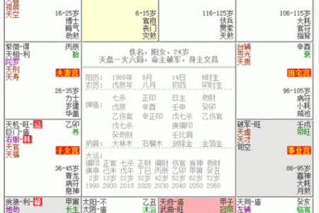 紫微斗数论女命之：女命论命要点