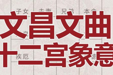 紫薇斗数迁移宫文曲