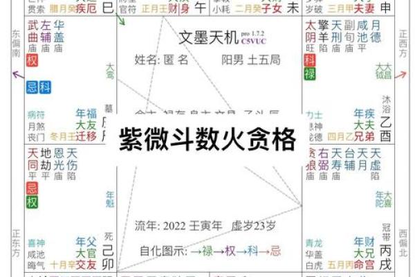 紫薇斗数太阳馅流年如何 紫薇斗数太阳馅流年如何