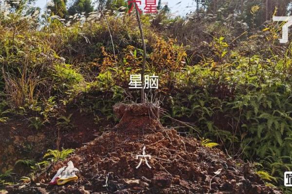 风水科普阴宅风水宝地什么意思