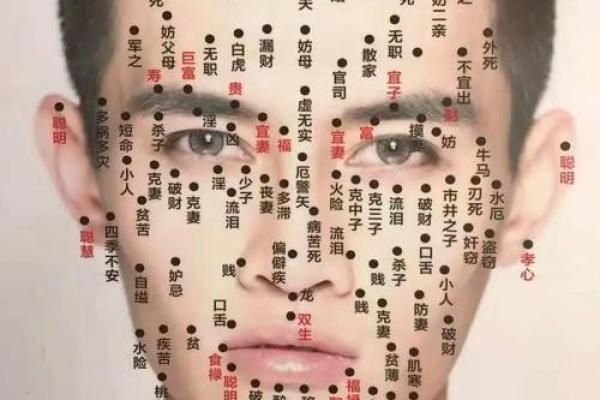 周易算命看面相