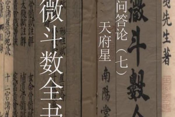夫妻紫薇天府星