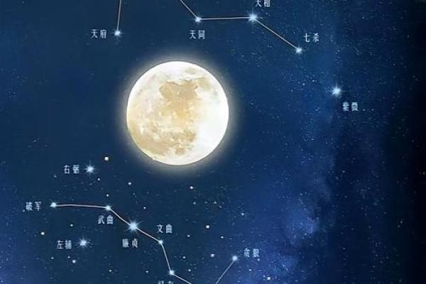紫薇斗数晚运