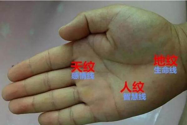 人中龙凤的八字格局