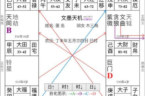 紫薇斗数全书架构