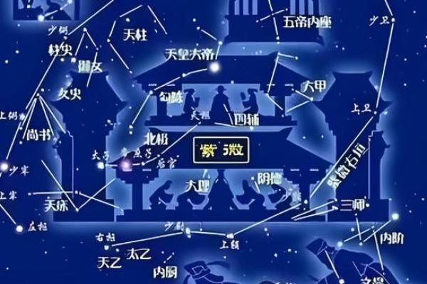 紫薇斗数丈夫富贵