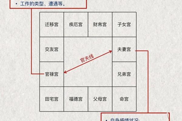 紫薇斗数书入门