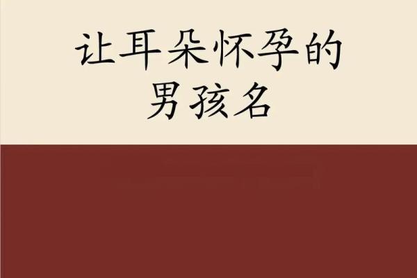 早上6点出生的属兔男孩如何取名姓名